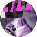 Melanie Tillman profile picture